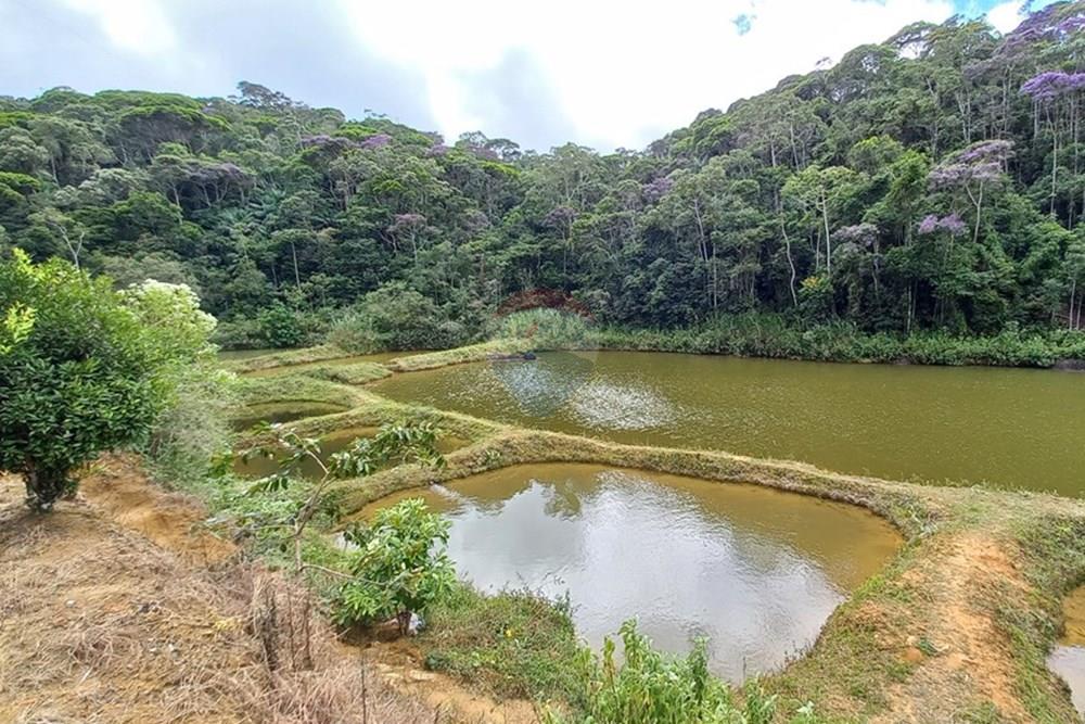 Chácara / Sítio / Fazenda - Venda - Santa Maria de Jetibá , Espírito Santo - 20260328_095902.jpg - 620211025-2