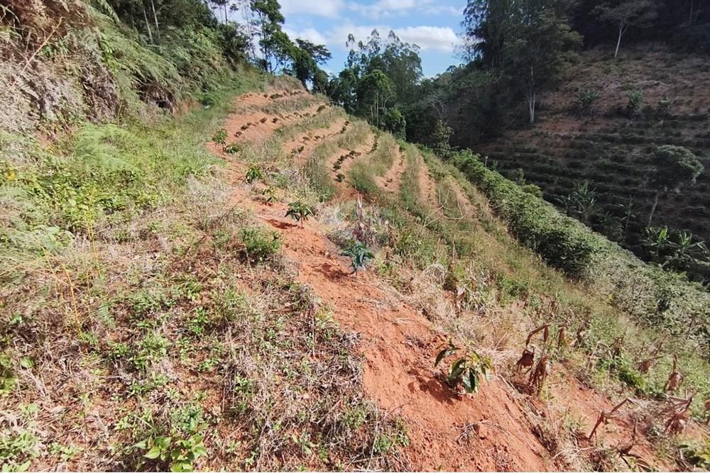 Chácara / Sítio / Fazenda - Venda - Guaçuí , Espírito Santo - São Rumão.jpeg - 620251013-14