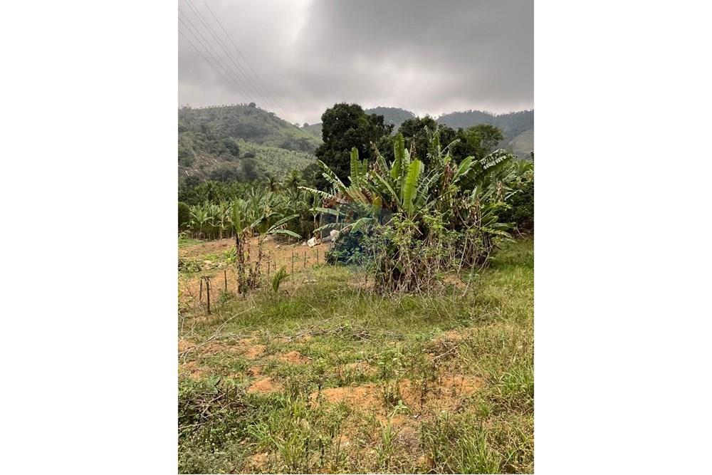 Terreno - Venda - Rio Novo do Sul , Espírito Santo - PHOTO-2025-12-11-10-19-31_1.jpg - 620291001-11