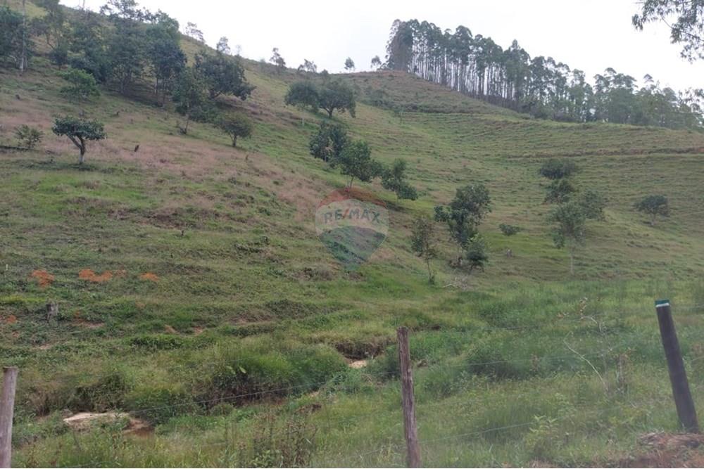 Chácara / Sítio / Fazenda - Venda - Vargem Alta , Espírito Santo - WhatsApp Image 2025-10-21 at 14.34.34 (5).jpeg - 620171077-6
