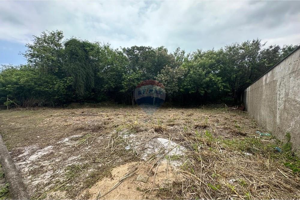 Terreno - Venda - Vila Velha , Espírito Santo - WheatsApp Image 2026-03-03 at 16.25.28.jpeg - 620231017-4