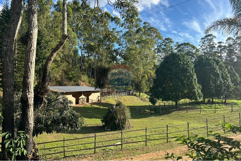 Chácara / Sítio / Fazenda - Venda - Guaçuí , Espírito Santo - WhatsApp Image 2025-05-20 at 09.31.40.jpeg - 620251001-6