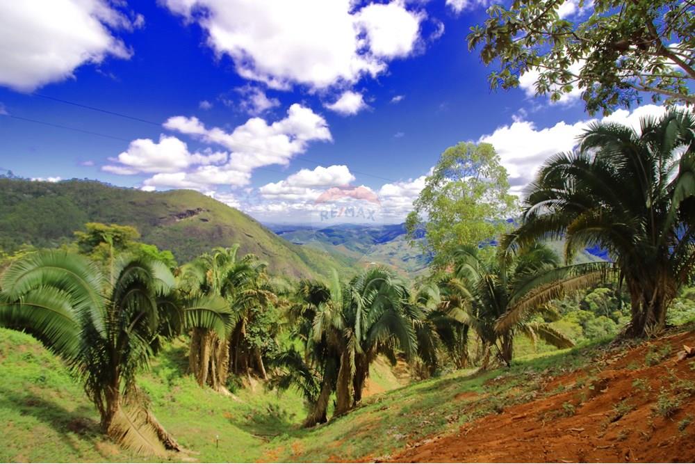 Chácara / Sítio / Fazenda - Venda - Santa Teresa , Espírito Santo - 1 - Vista Ampla.JPG - 620171030-37