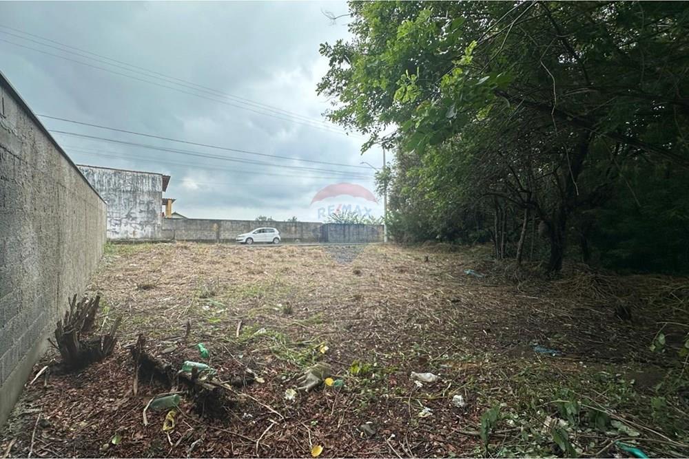 Terreno - Venda - Vila Velha , Espírito Santo - WhatsApp Imatge 2026-03-03 at 16.25.29.jpeg - 620231017-4