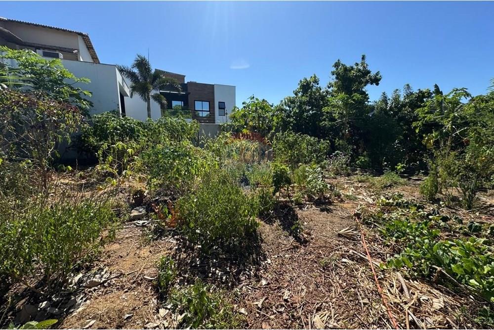 Terreno - Venda - Vitória , Espírito Santo - WhatsApp Image 2025-02-19 at 02.18.58.jpeg - 620131108-8