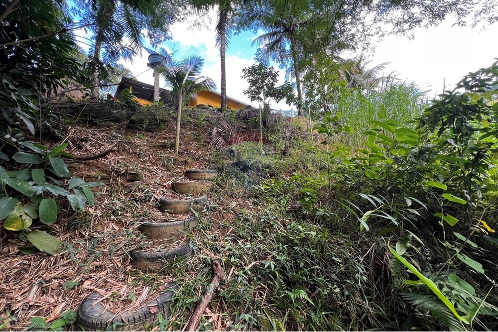 Chácara / Sítio / Fazenda - Venda - Anchieta , Espírito Santo - 20250714_173055964_iOS.jpg - 620201024-1