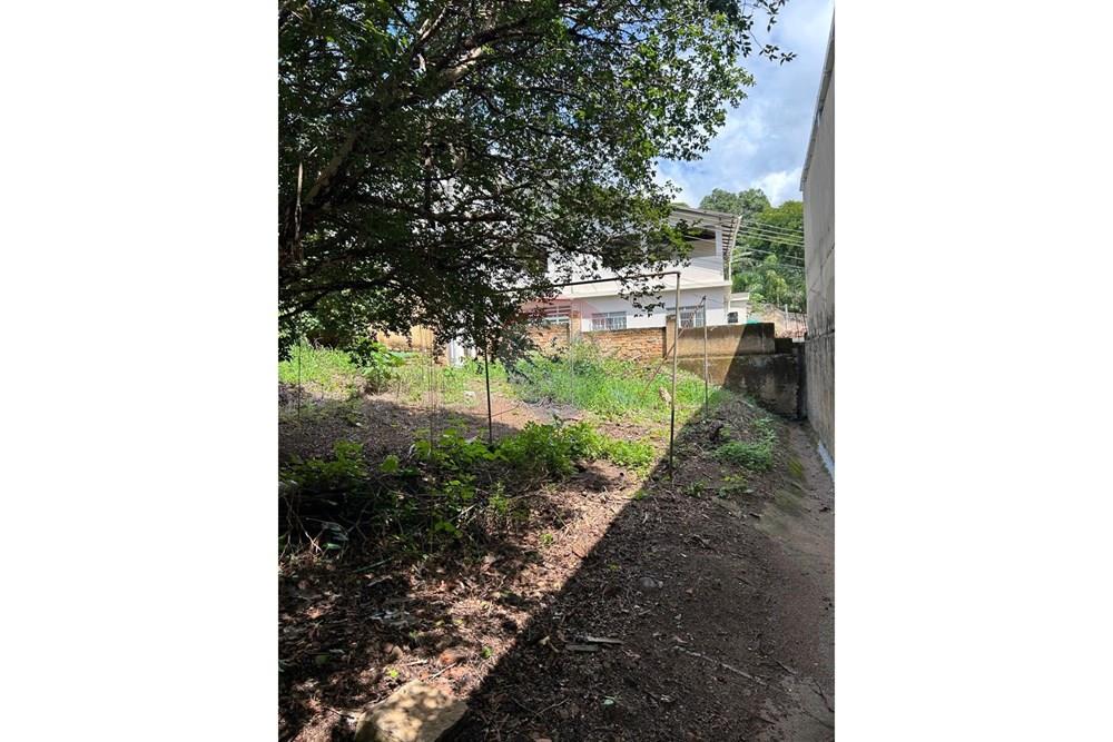 Terreno - Venda - São José do Calçado , Espírito Santo - WhatsApp Image 2026-03-03 at 11.12.54 (3).jpeg - 620251017-10