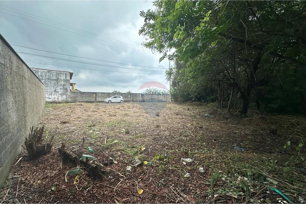 Terreno - Venda - Vila Velha , Espírito Santo - WhatsApp Image f026-03-03 at 16.25.29.jpeg - 620231017-4