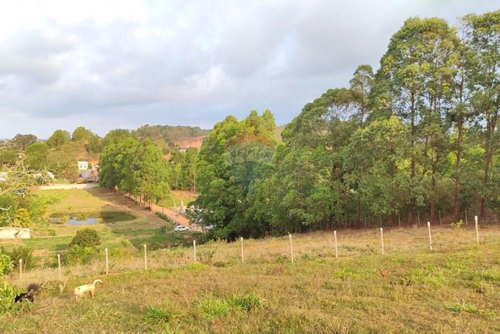 Chácara / Sítio / Fazenda - Venda - Itapemirim , Espírito Santo - IMG_2641.jpg - 620201020-26