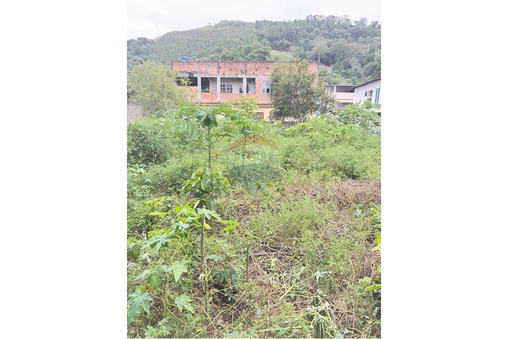 Terreno - Venda - Rio Novo do Sul , Espírito Santo - WhatsApp Image 2025-11-28 at 15.38.43.jpeg - 620291001-2