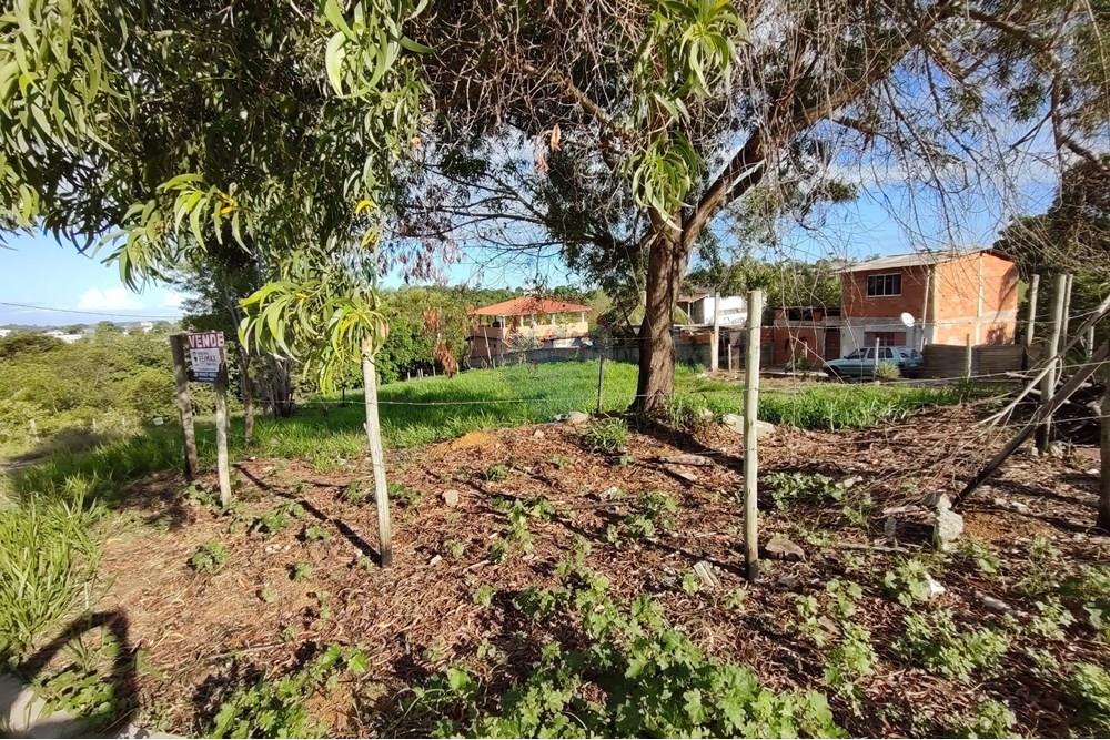 Terreno - Venda - Anchieta , Espírito Santo - WhatsApp Image 2025-04-11 at 15.59.09 (1).jpeg - 620181007-41