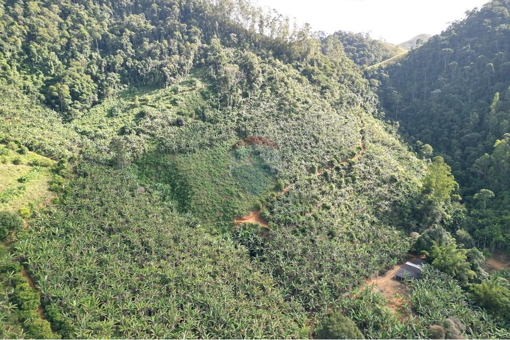 Chácara / Sítio / Fazenda - Venda - Iconha , Espírito Santo - DJI_0545.JPG - 620201020-13