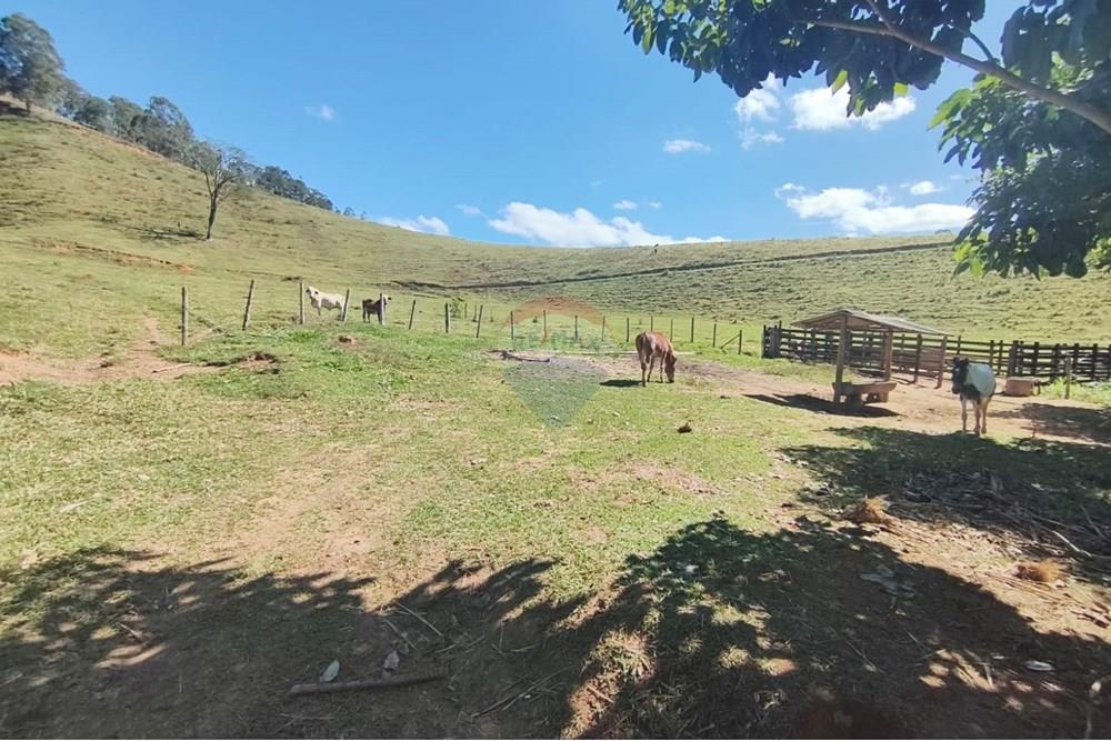 Chácara / Sítio / Fazenda - Venda - Guaçuí , Espírito Santo - WhatsApp Image 2025-07-08 at 15.31.24.jpeg - 620251001-23