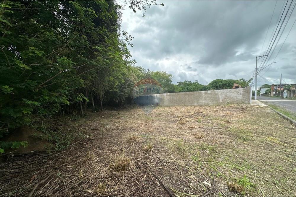 Terreno - Venda - Vila Velha , Espírito Santo - WhatsApp Image 2026-03-03 at 16.25.30.jpeg - 620231017-4