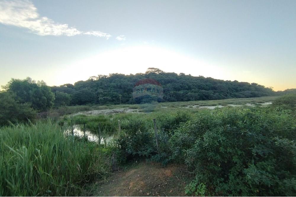 Chácara / Sítio / Fazenda - Venda - Vila Velha , Espírito Santo - IMG_20250608_164506.jpg - 620101031-18