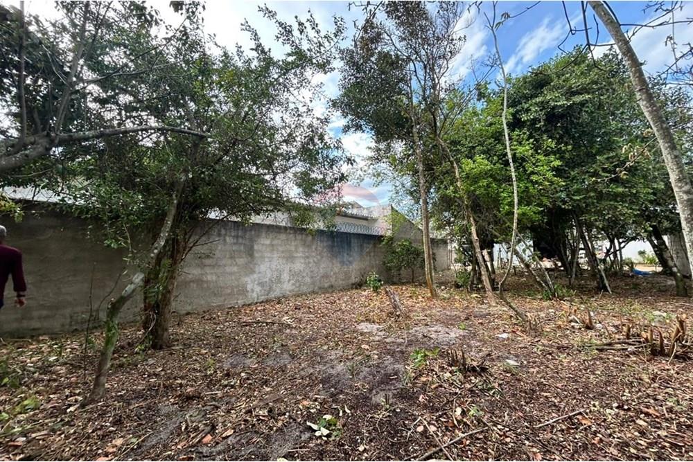 Terreno - Venda - Anchieta , Espírito Santo - WhatsApp Image 2025-11-18 at 16.08.03 (1).jpeg - 620181007-55