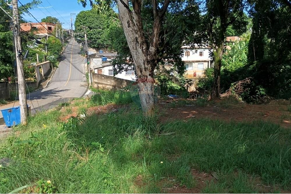 Terreno - Venda - Viana , Espírito Santo - e73a16ab-ad61-4788-95c2-831864fcc2f5.jpg - 620101040-8