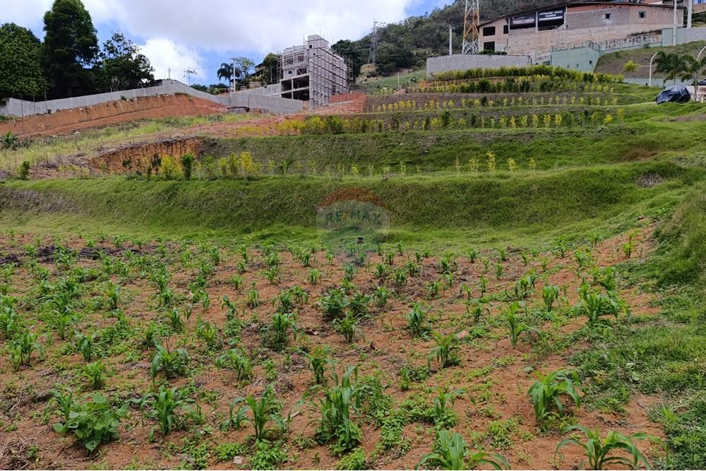 Terreno - Venda - Santa Teresa , Espírito Santo - IMG_20251029_114539.jpg - 620171030-32