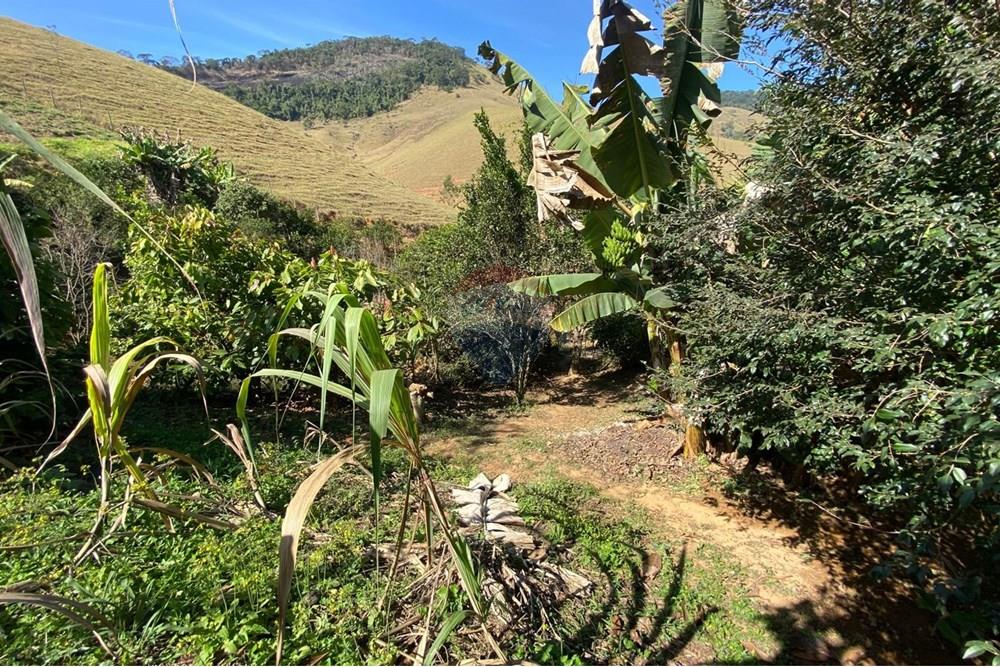 Chácara / Sítio / Fazenda - Venda - Alegre , Espírito Santo - WhatsApp Image 2025-08-15 at 16.18.06 (2).jpeg - 620251001-49
