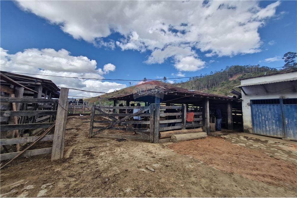 Fazenda - Venda - Aimorés , Minas Gerais - 14 - 620131043-13