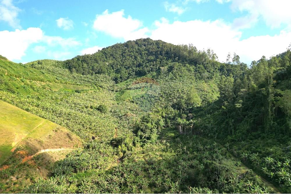 Chácara / Sítio / Fazenda - Venda - Iconha , Espírito Santo - DJI_0508.JPG - 620201020-13
