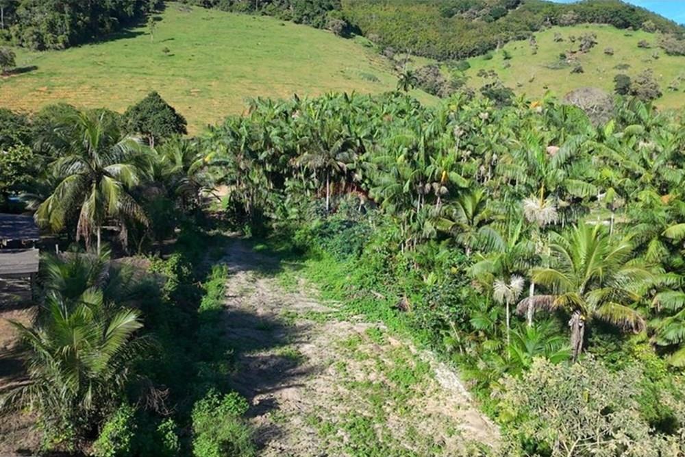 Chácara / Sítio / Fazenda - Venda - Anchieta , Espírito Santo - Imagem do WhatsApp de 2025-09-05 à(s) 16.03.51_d80c2949.jpg - 620181007-57