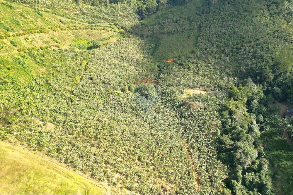 Chácara / Sítio / Fazenda - Venda - Iconha , Espírito Santo - DJI_0523.JPG - 620201020-13