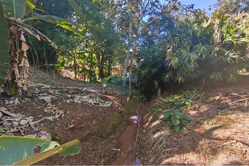 Chácara / Sítio / Fazenda - Venda - Guaçuí , Espírito Santo - WhatsApp Image 2025-07-08 at 15.31.27.jpeg - 620251001-23