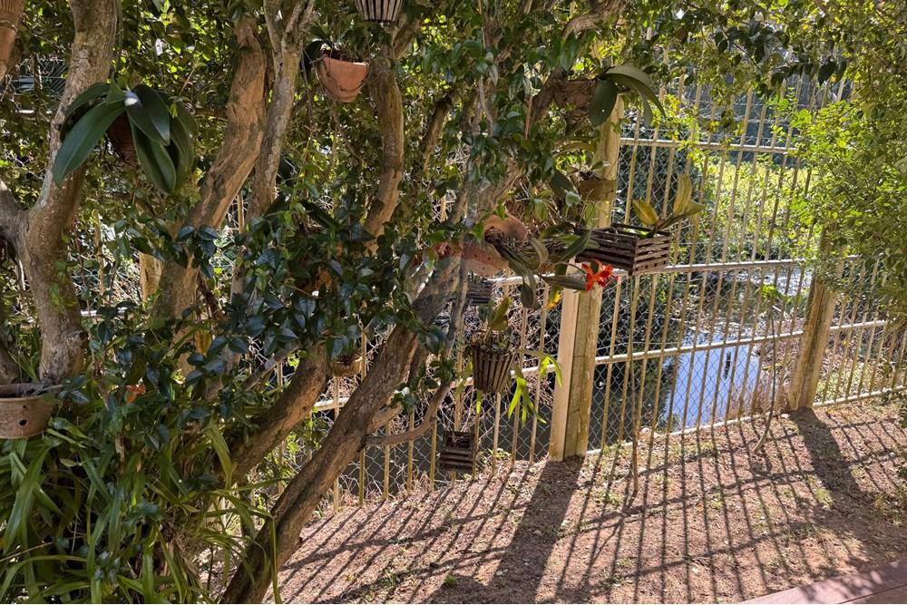 Casa - Venda - Serra , Espírito Santo - 3839f9e4-43bb-4ac9-9604-03cbc545140a.jpeg - 620241003-21