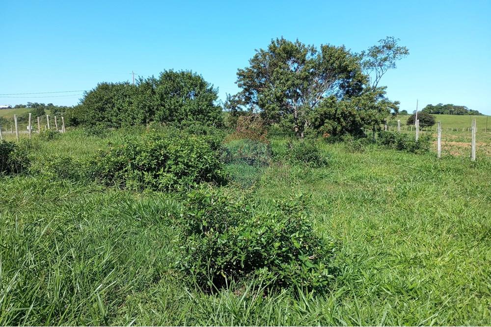 Terreno - Venda - Anchieta , Espírito Santo - IMG_20250520_124710.jpg - 620181007-45