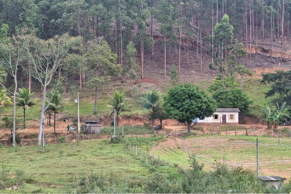 Fazenda - Venda - Aimorés , Minas Gerais - 20250613_125632.jpg - 620131043-13