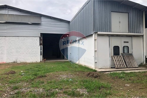 Alugar-Galpão-Centro de Ouro Fino Paulista , Ribeirão Pires , São Paulo , 09443530-630751019-26