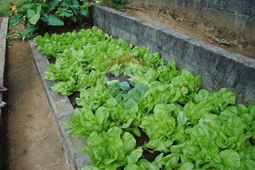 Slider Image Thumbnail