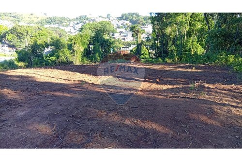 Alugar-Terreno-Avenida Prefeito Bernardino de Lucca , S/N  - PROXIMO AO SEMAFORO DA VILA NOVA  - Jardim Carambeí , São Roque , São Paulo , 18132295-631601017-79