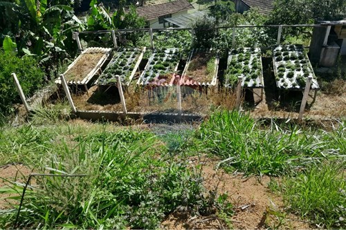 Slider Image Thumbnail