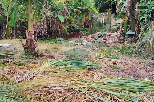 Slider Panorama Image Thumbnail