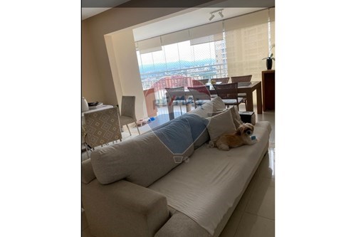 Venda-Apartamento-Rua Augusta , 183  - Pq Fracalanza  - Vila Augusta , Guarulhos , São Paulo , 07025130-631421001-112