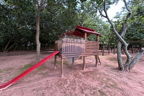 Slider Image Thumbnail