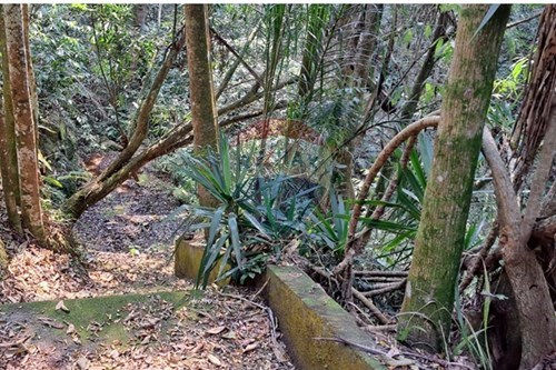 Slider Image Thumbnail