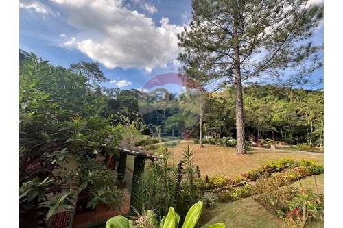 Venda-Chácara / Sítio / Fazenda-Governador Portela , Miguel Pereira , Rio de Janeiro , 26900000-631261002-81