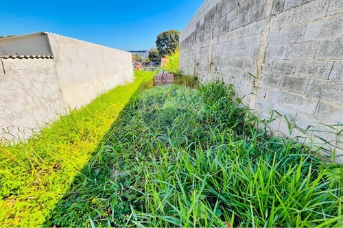 Venda-Terreno-Rua Aleluia , 1  - Mogi das Cruzes  - Botujuru , Mogi das Cruzes , São Paulo , 08840-350-630281055-35