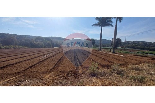 Venda-Terreno-Centro (Canguera) , São Roque , São Paulo , 18145020-631601001-126