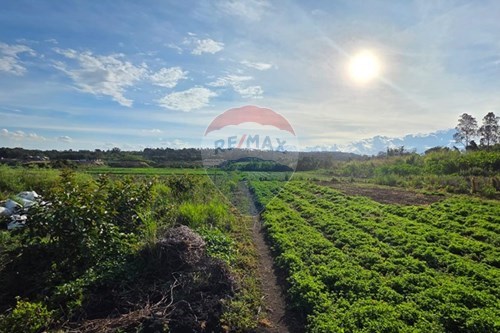 Venda-Terreno-Fontes , Arujá , São Paulo , 07414430-631491001-5