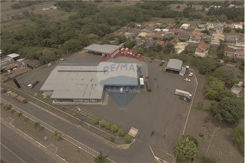 Venda-Galpão-Centro , Lucélia , São Paulo , 17780000-630261020-29