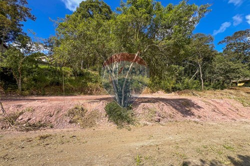 Venda-Terreno-Rua dos Coqueiros , 0  - Palmeiras de São Paulo , Suzano , São Paulo , 08640000-631371018-45