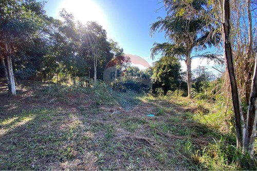 Venda-Terreno-Rasa , Armação dos Búzios , Rio de Janeiro , 28950000-630391072-18