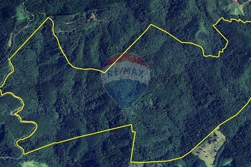 Venda-Fazenda-Morro Agudo , Barra do Chapéu , São Paulo , 18329-899-630241005-71