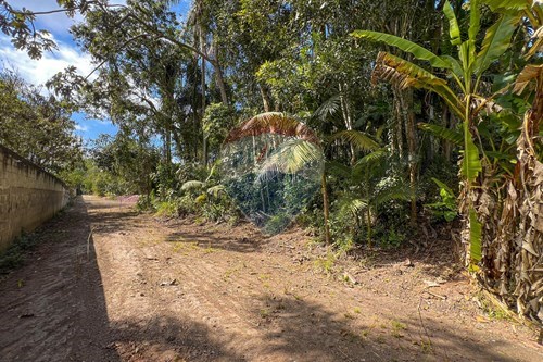 Venda-Terreno-Rua dos Coqueiros , SN  - Chácara Nossa Senhora Aparecida II , Suzano , São Paulo , 08640000-631371018-49