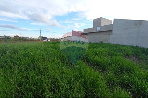 Venda-Terreno-Centro , Mirassol , São Paulo , 15134332-630401033-19