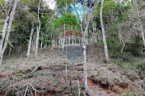 Venda-Terreno-Estrada México , 01  - Albuquerque , Teresópolis , Rio de Janeiro , 25977030-630191109-14